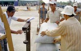 Khẩn trương hoàn thành Quy hoạch thương nhân xuất khẩu gạo